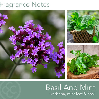 CAROLINA Basil & Mint Scented Candle, 16 oz Wellness Relaxing Aromatherapy Candle, 2 Wick White Jar Soy Blend Wax, Candles for Home, 60H Burn - Made in The USA