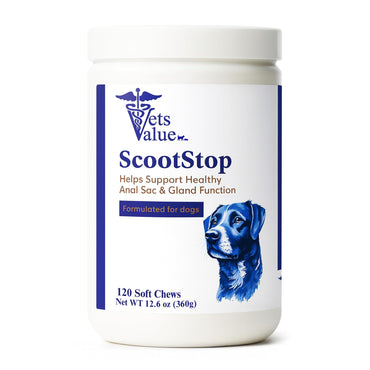ScootStop Dog Anal Gland Chews with Pumpkin & Fiber – Stool Firming Digestive Support, Constipation Relief & Anal Gland Health Supplement – 120 Soft Chews