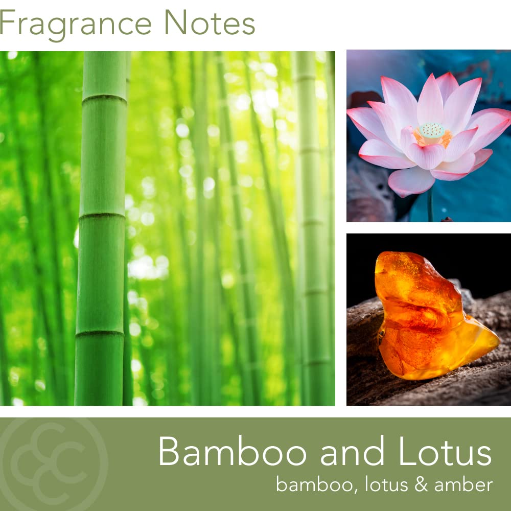 Carolina Bamboo Lotus Scented Candle, 16 oz Wellness Relaxing Aromatherapy Candle, 2 Wick White Jar Soy Blend Wax, Candles for Home, 60H Burn - Made in The USA