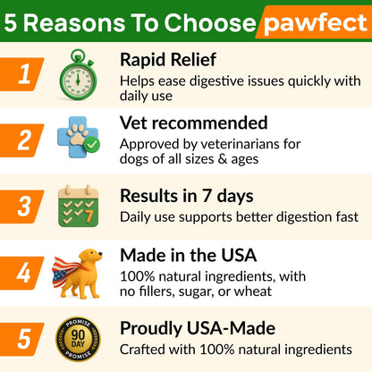 PAWFECTCHEW Pumpkin Powder for Dogs - 8oz Powdered Supplement High Fiber for Dogs Stool Softener - Treat Diarrhea, Constipation, Upset Stomach, Food Sensitivity - Improve Digestion - Made in USA