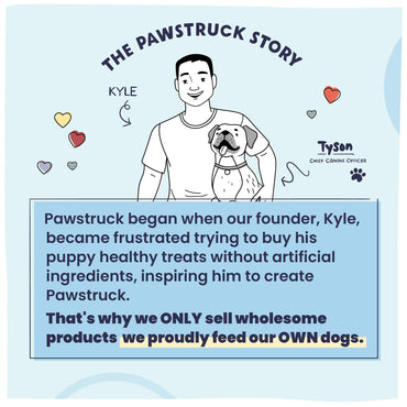 Pawstruck All Natural Air Dried Dog Food with Real Beef, Grain-Free, Made in USA, Non-GMO & Vet Recommended, High Protein Limited Ingredient Full-Feed for All Breeds & Ages, 2lb Bag