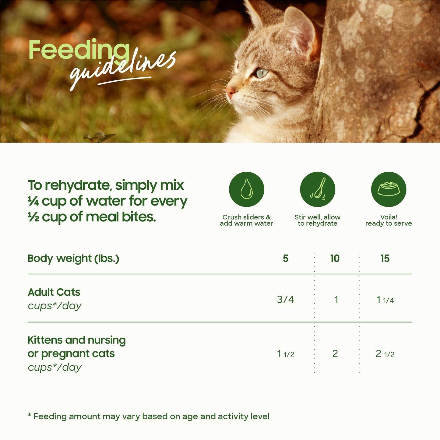 smallbatch Freeze-Dried Raw Cat Food, Shelf Stable Food Bites, Turkey Recipe, High Protein Meal or Topper for Cats, Humanely Raised Meat, Organic, Non-GMO Produce, Made in The USA, 10oz Bag