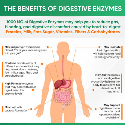 Wholesome Wellness Digestive Enzymes 1000MG Plus Prebiotics & Probiotics Supplement, 180 Capsules, Organic Plant-Based Vegan Formula for Digestion & Lactose with Amylase & Bromelain,3-6 Months Supply