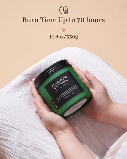 M&SENSE Fir & Orange Scented Candle, 11.6oz Soy Wax Non Toxic for Home Up to 70 Hours, 2 Cotton Wick Christmas Tree Scent Holiday Aromatherapy Candle for Relaxation