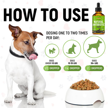 Dog Antibiotics for Infections, Cough, & Teeth Moments | Natural Antibiotics for Dogs with UTIs | Dog Allergy Relief & Canine Breath Treatment in 1 Bottle | Organic | 2 Oz