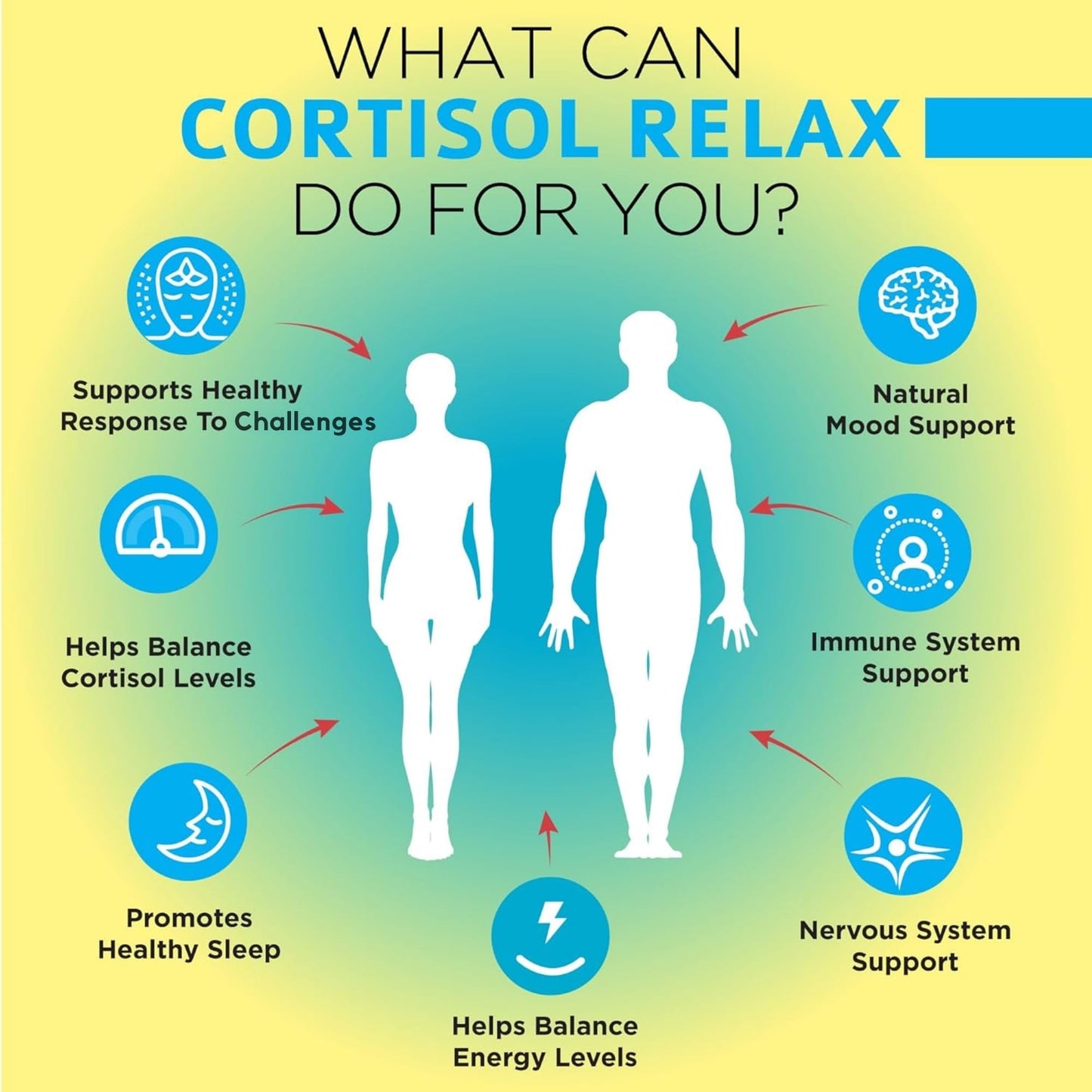 OmniBiotics Cortisol Supplement for Women and Men - High Cortisol Manager with Ashwagandha, L-Theanine, Magnolia Extract, Phosphatidylserine to Support Relaxation, Calm, Detox - 60 Vegan Capsules