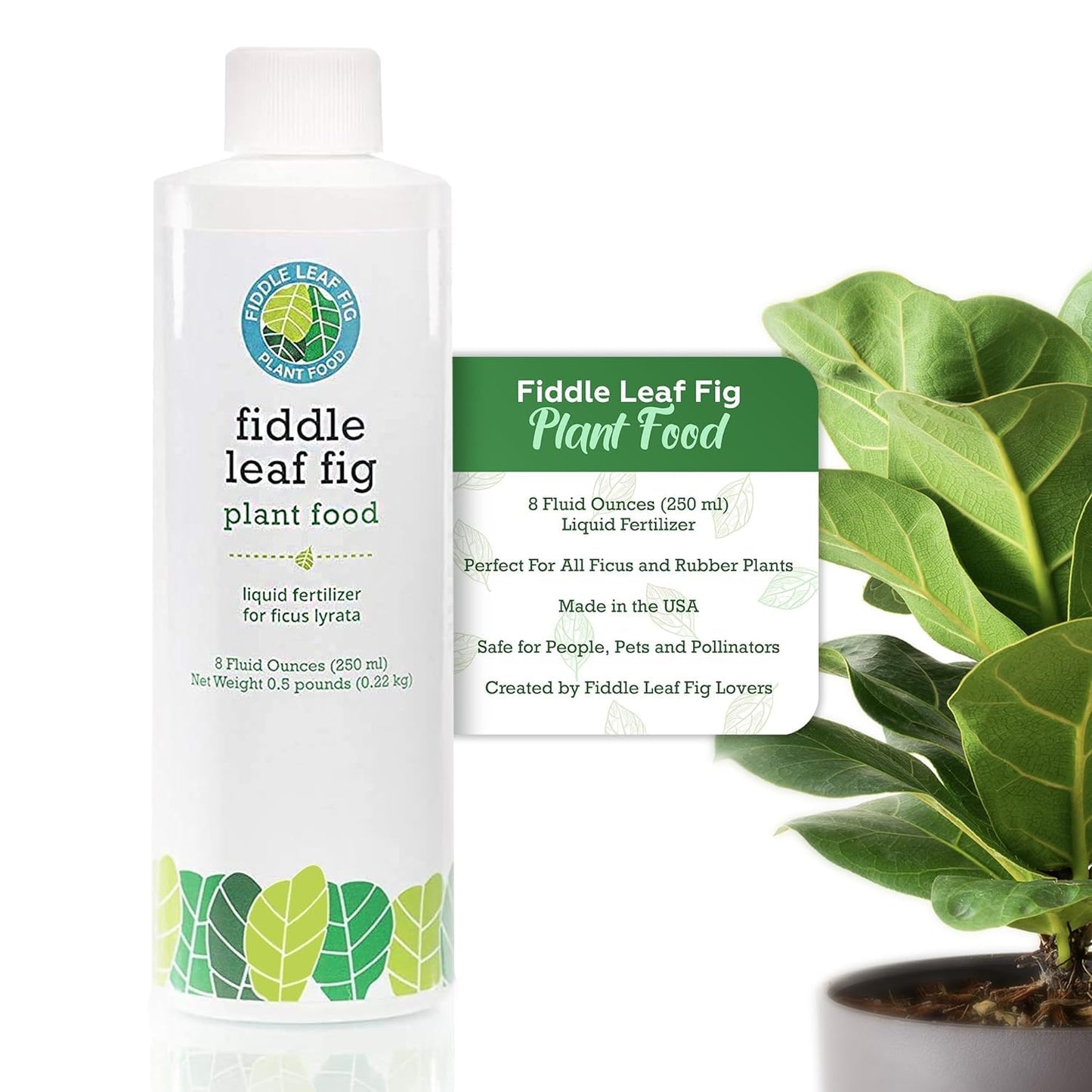 Fiddle Leaf Fig Tree Plant Food for Ficus Lyrata (and Ficus Audrey) - Enriched with Calcium, Urea-Free, and Featuring an NPK Ratio of 3-1-2 to Promote Robust Roots, Stems & Leaves (8 Ounces)