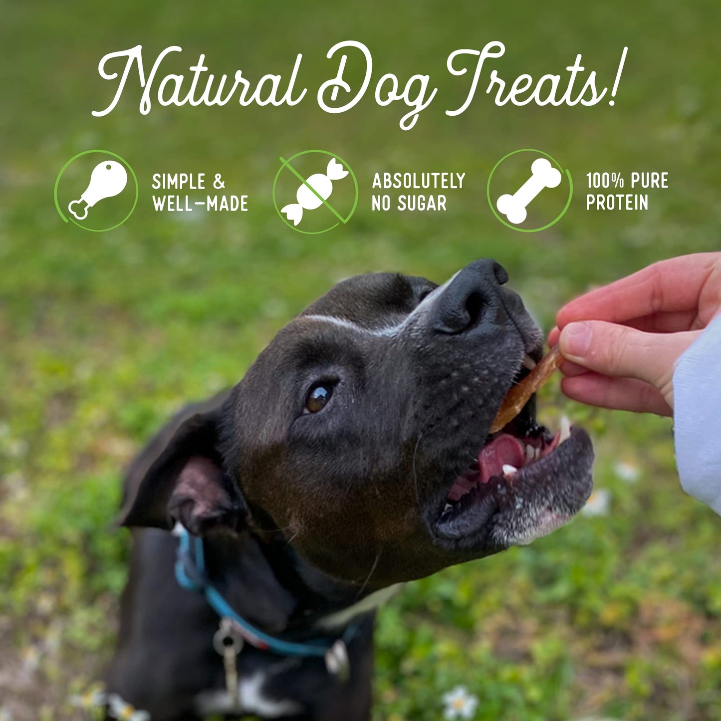 Beg & Barker Chicken Jerky for Dogs - Dog Training Treats - Natural Dog Treats Made in The USA - Grain Free, Diabetic-Friendly, High Protein, Sugar-Free (Chicken Dog Jerky)