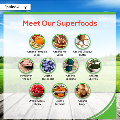 Paleovalley: Superfood Bars with Grass Fed Bone Broth Protein - Apple Cinnamon - 12 Bars - All Organic Ingredients with 10 Antioxidant-Rich Superfoods - No Gluten, Grains, Soy or Added Sugar