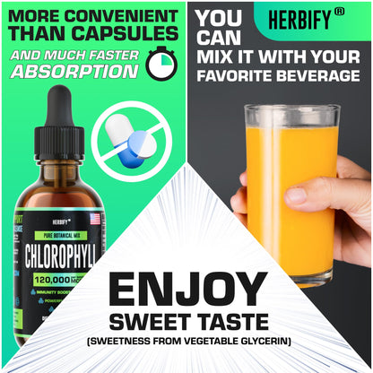 HERBIFY Chlorophyll Drops - Liquid Chlorophyll for Energy Boost & Immune System Support - Made in USA - Chlorophyll Liquid Drops for Body Detox, Internal Deodorant & Enhance Skin - 2 Oz