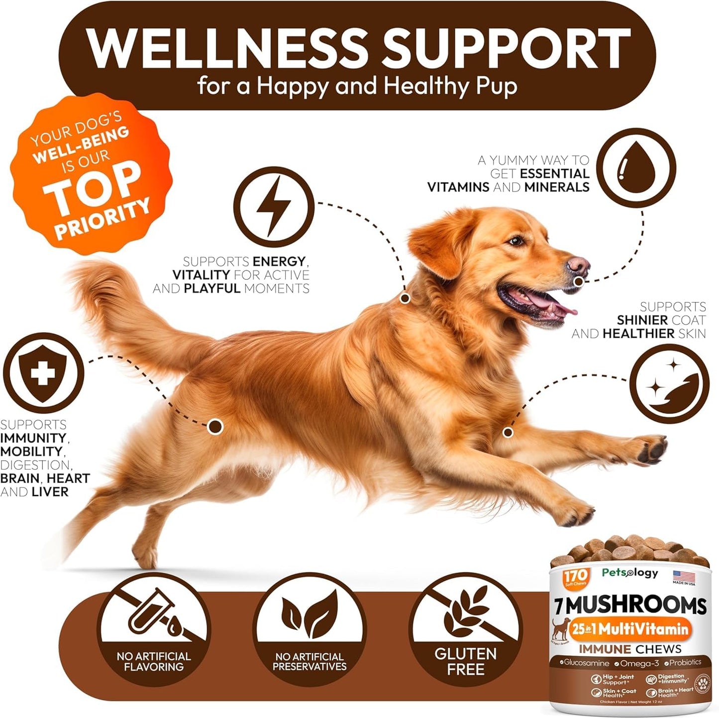 Turkey Tail Mushroom for Dogs - 170 Chews - Lion’s Mane - Shiitake - Reishi - Buddy Immune Support Guard - Mushroom Supplement for Dogs Lumps and Bumps Glucosamine, Health Vitamins Multivitamin