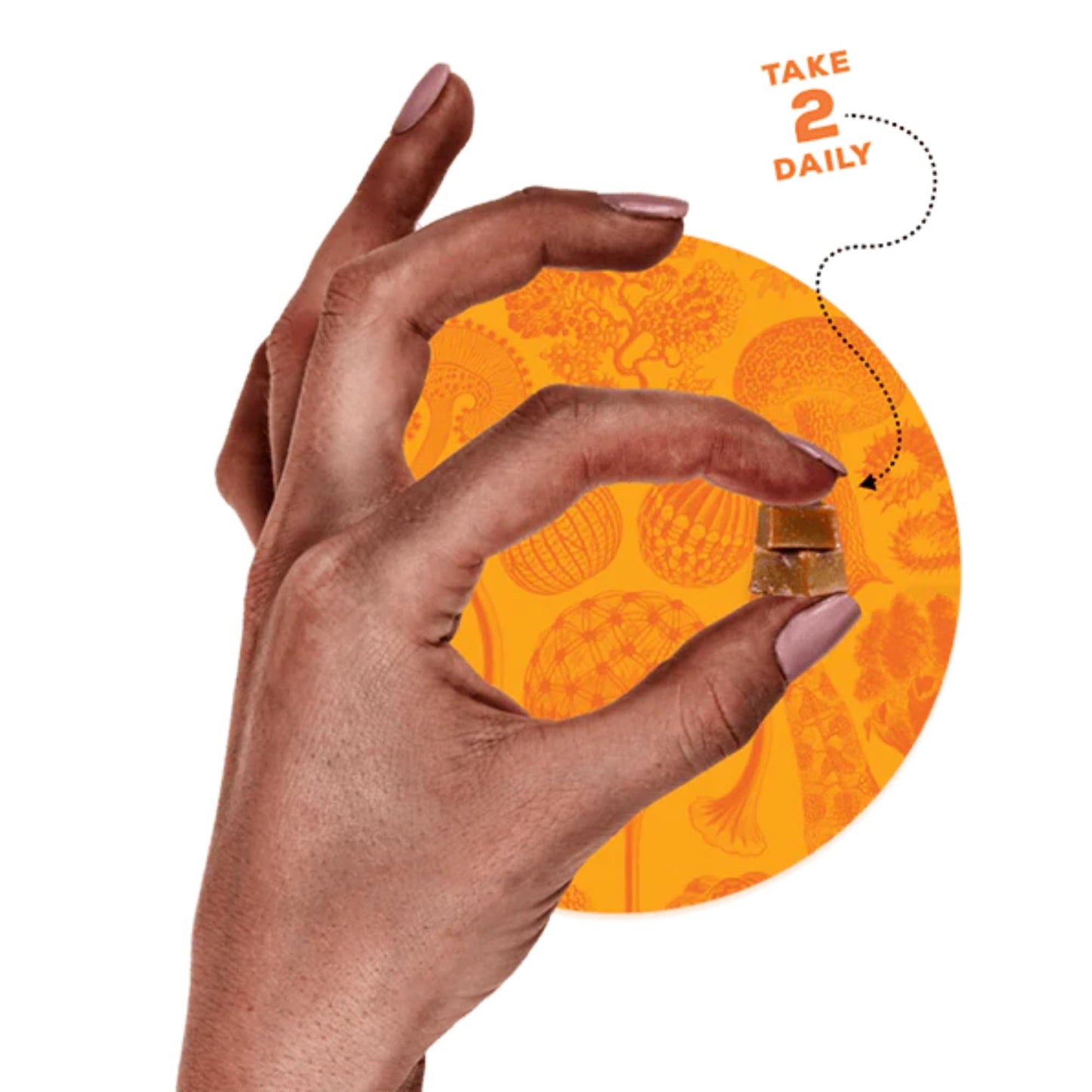 OH MY FUNGI GUMMIES Mushroom Supplement for Brain Health Support – Lions Mane, Cordyceps, B12, DMAE – Vegan Gummy for Focus, Energy & Clarity – Raspberry Peach Flavor (60 Count)