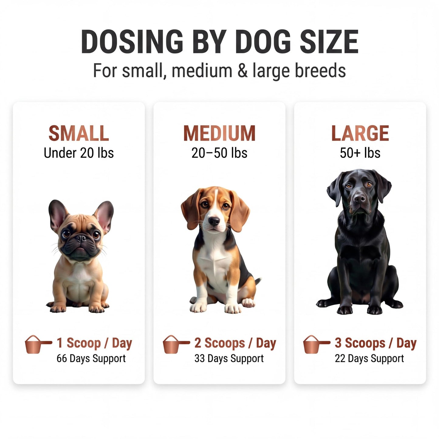 Kopo Dog Multivitamin Powder | Supports Heart, Daily Vitality, Immune Health, Digestion, Skin & Coat and Hip & Joint | For Puppy, Adult & Senior Dogs | Beef Liver Flavor | All Breeds Sizes | 99 Scoops
