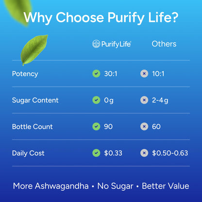 Sugar-Free Ashwagandha Gummies for Stress, Sleep & Mood Support - High-Potency 30:1 Ashwagandha Supplement Extract - Vegan Adaptogen Supplement for Women & Men, Natural Flavor, Plant-Based, 90 Gummies