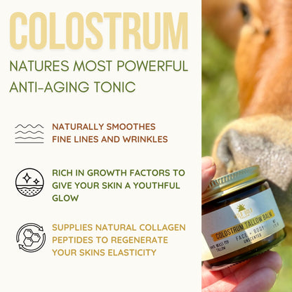 Wild Gold Tallow 100% Grass Fed Tallow Balm with Colostrum & Emu Oil - Handmade Whipped Beef Tallow for Face and Body, Sensitive Skin Tallow Moisturizer made with True First Colostrum, (Unscented)