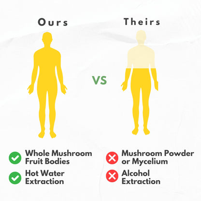 Mushroom Supplement Extracts of Lions Mane Cordyceps Chaga Reishi Turkey Tail Maitake Shiitake Capsules - Natural Vitamins Minerals Antioxidants Supplement - Made in The USA