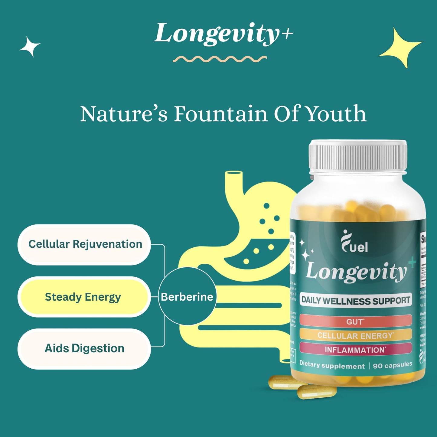 Fuel Natural Liposomal Berberine HCL Supplement – Supports Metabolism, Hunger, Hormone Balance, Energy for Women & Men - Healthy Aging and Longevity Support - Metabolic Berberine 1000mg Capsules
