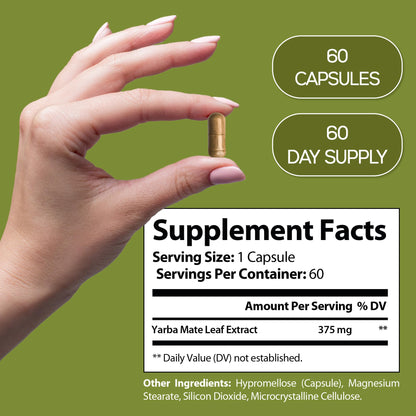 HARMONIFY Yerba Mate Leaf Extract – 375mg, 60 Capsules – Natural Energy Booster, Mental Clarity&Metabolism Support – Caffeine-Rich Herbal Supplement