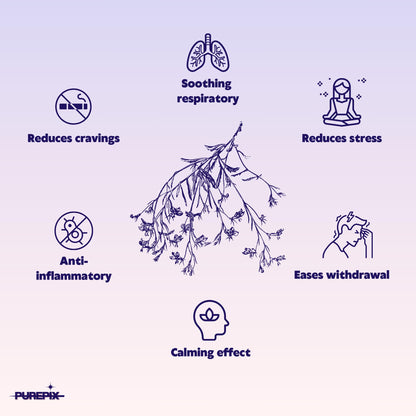 PurePix QuitPix May Help Quit Smoking Extra Thick Boosting Flavored Toothpicks with Lobelia to Help Quit Smoking - Oral Fixation - Nicotine Free Toothpicks Mixed Berry 3 Pack
