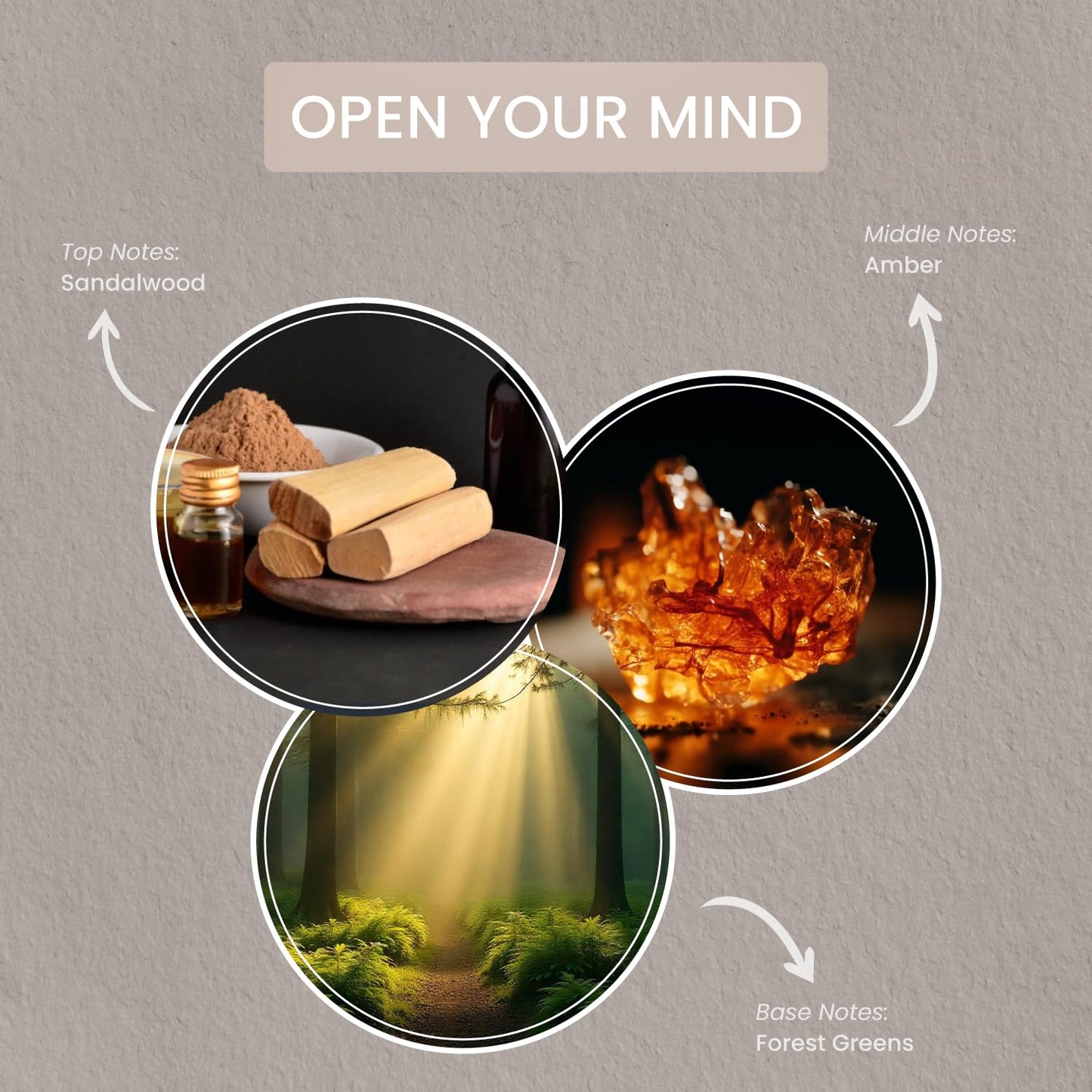 Carolina Open Your Mind Scented Wellness Wax Melts, Wax Melt Warmer Cubes, Long Lasting Scented Wax Warmer Cubes, 4 Pack, 6 Cubes Each - Made in The USA