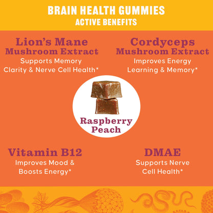 OH MY FUNGI GUMMIES Mushroom Supplement for Brain Health Support – Lions Mane, Cordyceps, B12, DMAE – Vegan Gummy for Focus, Energy & Clarity – Raspberry Peach Flavor (60 Count)
