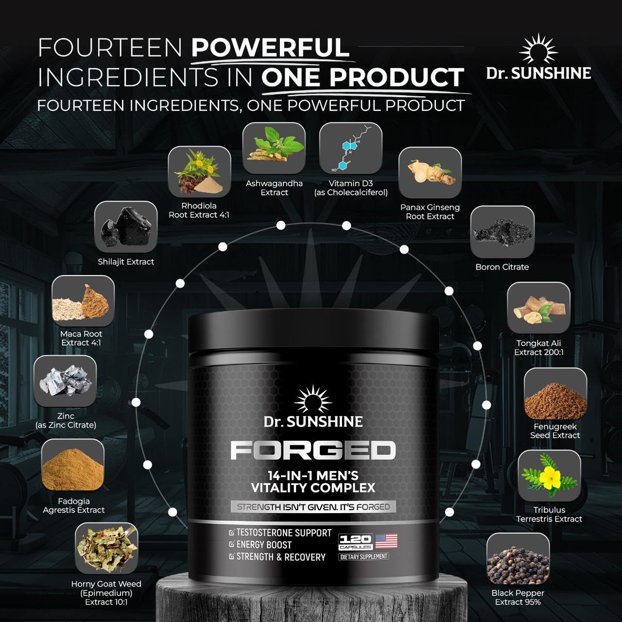 DR. SUNSHINE Forged 14 in 1 Shilajit for Men, Natural Energy, Men's Vitality Complex, Strength & Endurance Support with Fenugreek, Ashwagandha, Tongkat Ali, & More - 2 Month (120 Capsules)