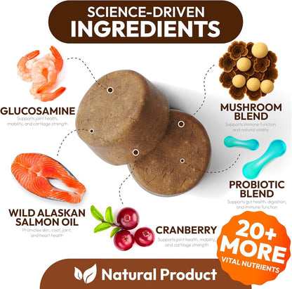 Turkey Tail Mushroom for Dogs - 170 Chews - Lion’s Mane - Shiitake - Reishi - Buddy Immune Support Guard - Mushroom Supplement for Dogs Lumps and Bumps Glucosamine, Health Vitamins Multivitamin