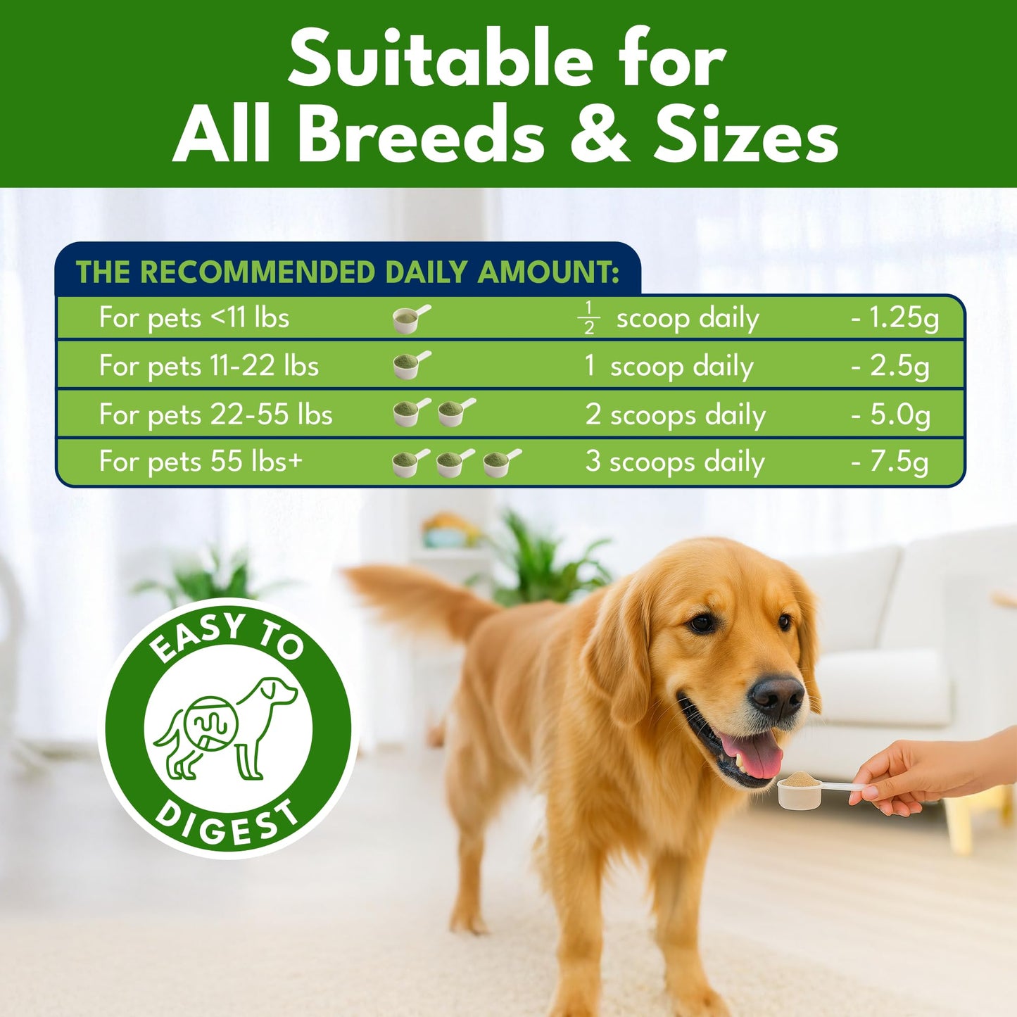 Pupzle Dog Teeth Cleaning Powder for Fresh Breath, Dog Dental Powder, Tartar & Plaque Focused, Natural Breath Freshener, Pet Dental Supplement with Probiotics for Gut Health, Mint, 60 Days Supply