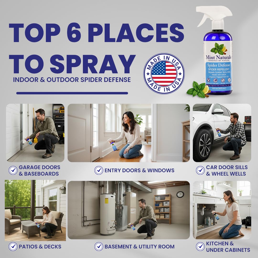 Mint Naturals Spider Defense Spray – USDA Organic Peppermint Oil Scent for Indoor Areas, Offices, Garages, RVs & Cabins – Plant-Based Mint Home Spray for Storage & Entry Points – 16 oz USA