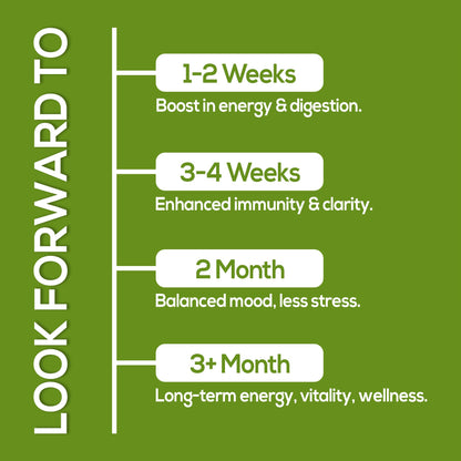 HARMONIFY Moringa Capsules - Pure Moringa Powder Supports, Joint Comfort & Healthy Energy Levels 120 Capsules - Made in USA, Gluten Free Supplement, GMO Free