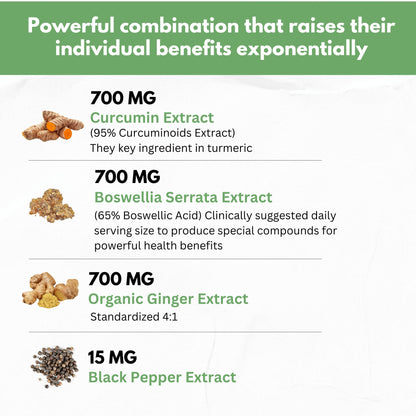 Boswellia Curcumin Ginger Extracts Supplement – Strong 95% Curcuminoids Natural Support Pills for Mobility & Flexibility – Extra Strength Boswelia with Turmeric Curcumin Organic Ginger Supplement