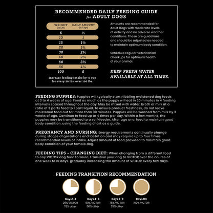 VICTOR Super Premium Dog Food — Sensitive Skin and Stomach — Salmon Meal & Brown Rice Recipe Dry Kibble — Gluten Free, No Chicken, Ideal for Dogs with Allergies — Adult and Puppy Food, 5 lb