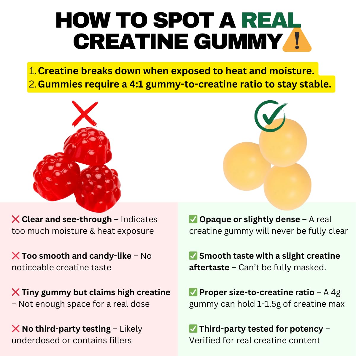 WILD GAINZ Creatine Monohydrate Gummies 5g - Made in USA - Pre Workout Creatine Chews for Women & Men, Vegan Creatine Gummy Candy, Chewable Nutritional Supplements, NSF Certified (Lemon, 150 Count)