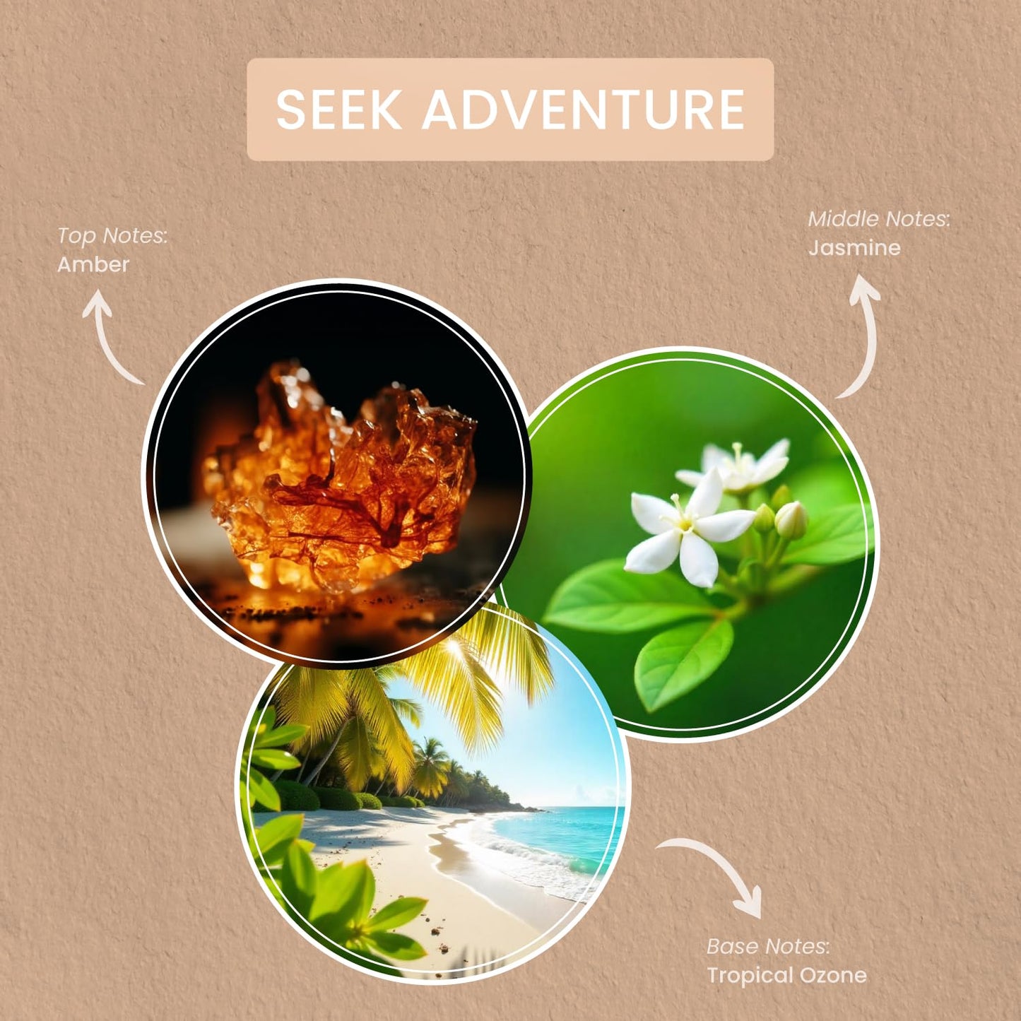 Carolina Seek Adventure Scented Wellness Wax Melts, Wax Melt Warmer Cubes, Long Lasting Scented Wax Warmer Cubes, 4 Pack, 6 Cubes Each - Made in The USA