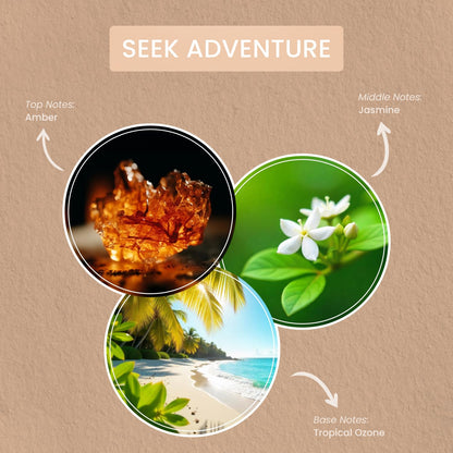 Carolina Seek Adventure Scented Wellness Wax Melts, Wax Melt Warmer Cubes, Long Lasting Scented Wax Warmer Cubes, 4 Pack, 6 Cubes Each - Made in The USA