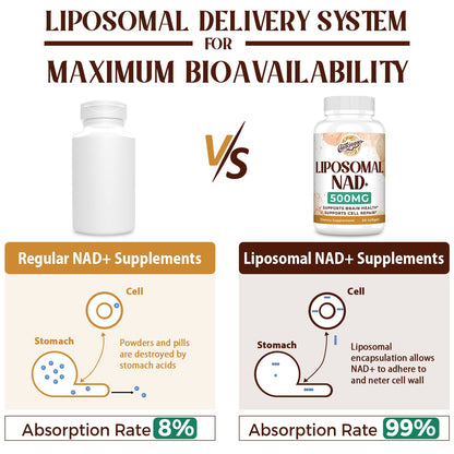 Liposomal NAD+ 500 MG Supplement, True NAD Plus Supplement, Superior Absorption, Boost NAD+ More Efficient Than Nicotinamide Riboside for Cellular Energy, Healthy Aging, 60 Serving