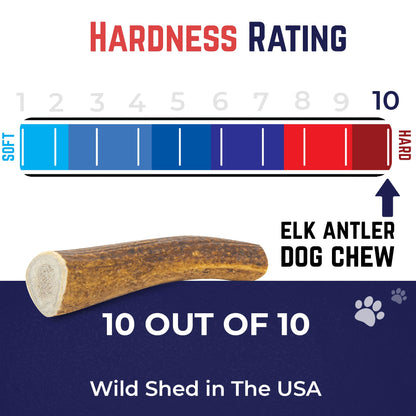 Devil Dog Pet Co. Elk Antlers for Dogs, Monster 9"+, 1 Pack, Grade A Long Lasting Chew for Aggressive Chewers, Premium USA Naturally Shed Antler – Healthy, No Odor, Durable Dog Chew