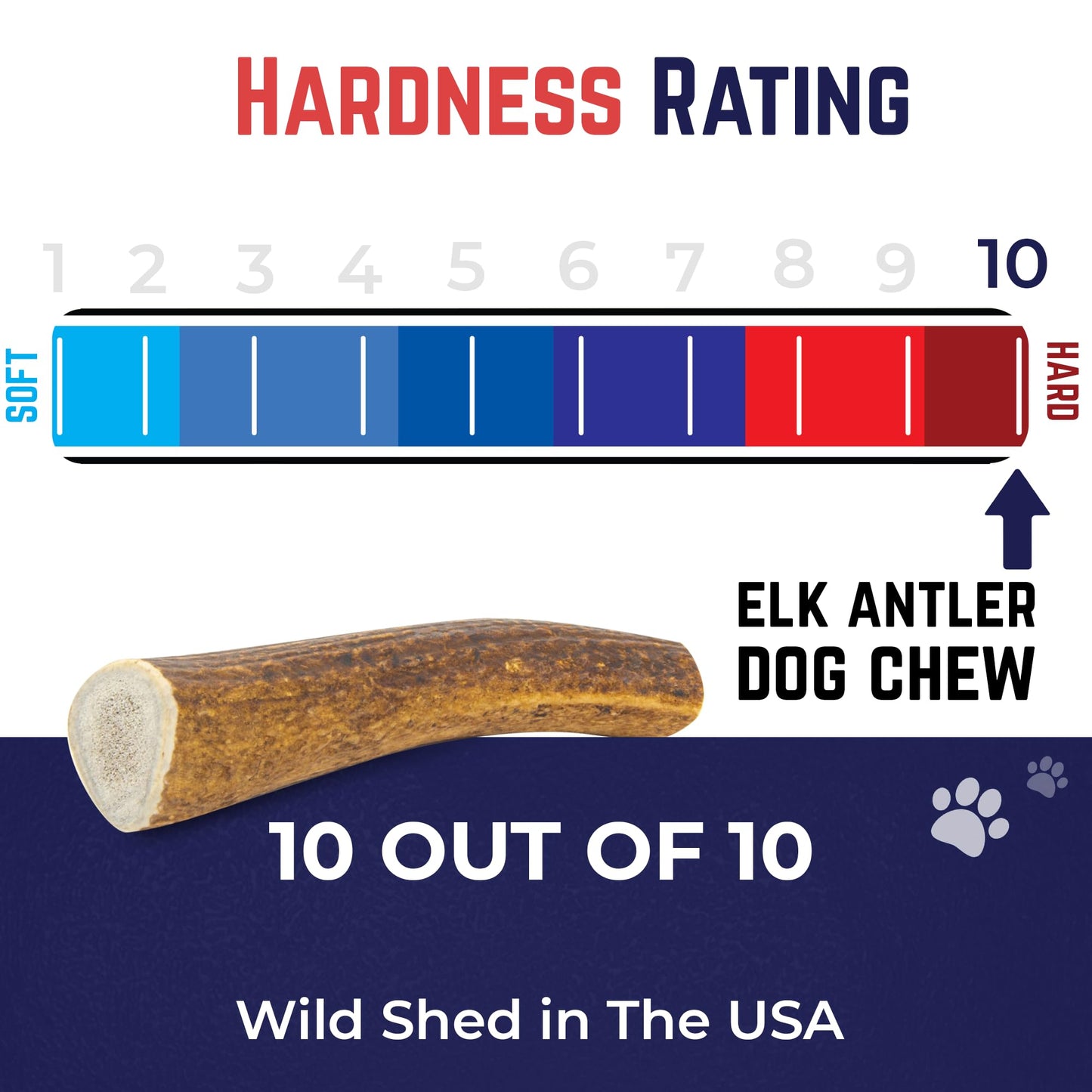 Devil Dog Pet Co. Elk Antlers for Dogs, Extra Large 7"+, 1 Pack, Grade A Long Lasting Chew for Aggressive Chewers, Premium USA Naturally Shed Antler – Healthy, No Odor, Durable Dog Chew