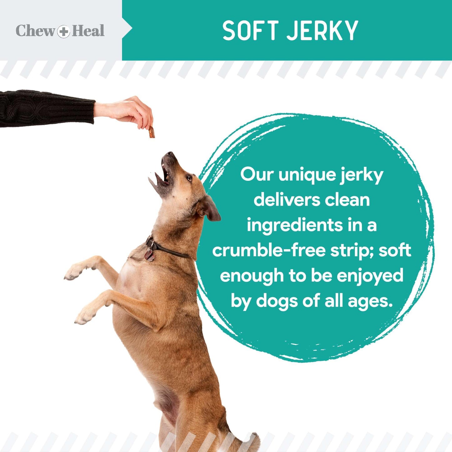 Chew + Heal Labs Probiotic Salmon Jerky Dog Treats - Wild Caught Alaskan Salmon Jerky for Digestive Health with Apples, Pumpkin, Pea Protein, and More - Made in The USA