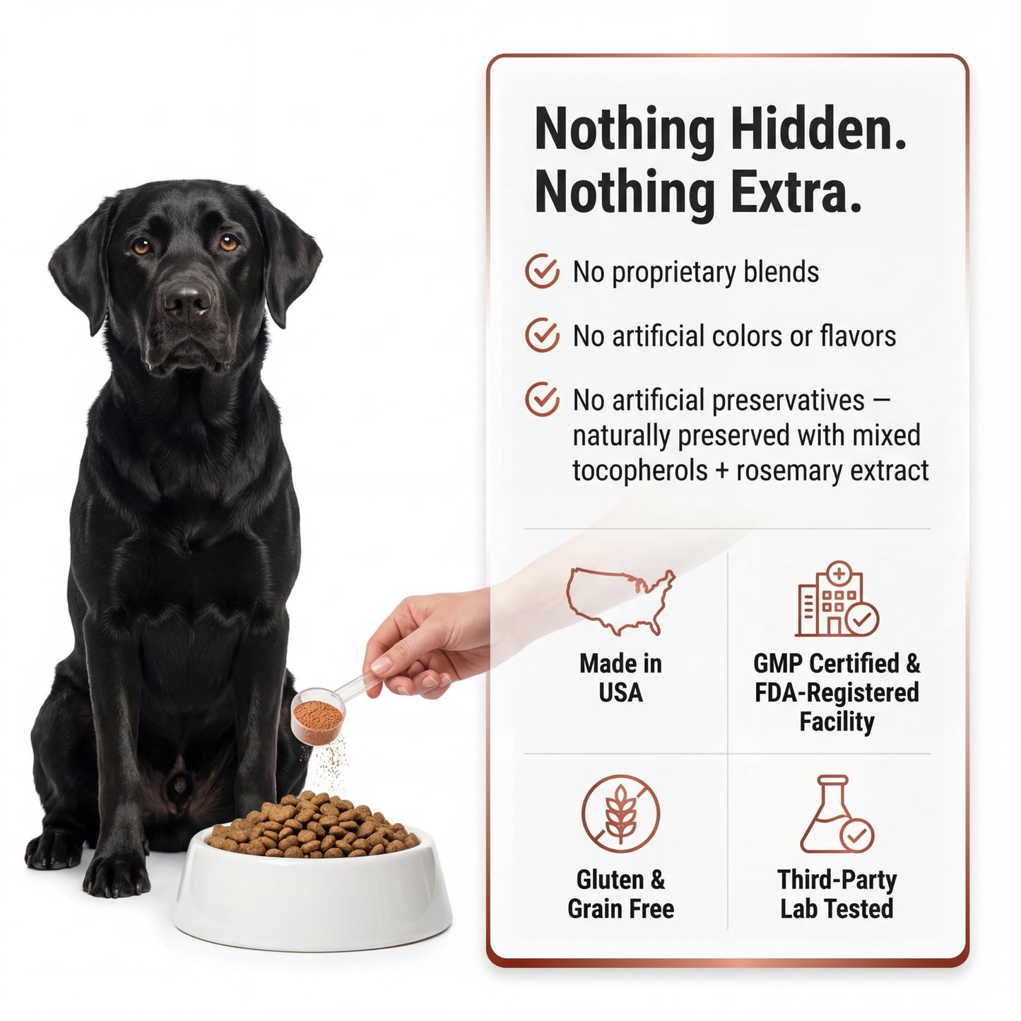 Kopo Dog Multivitamin Powder | Supports Heart, Daily Vitality, Immune Health, Digestion, Skin & Coat and Hip & Joint | For Puppy, Adult & Senior Dogs | Beef Liver Flavor | All Breeds Sizes | 99 Scoops
