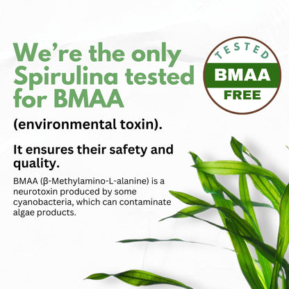 Chlorella Spirulina Powder Capsules Organic 3000 mg of BMAA Free Purest Blue Green Algae - Best Natural Detox Raw Vegan Vitamins Protein Green Superfood - Made in USA