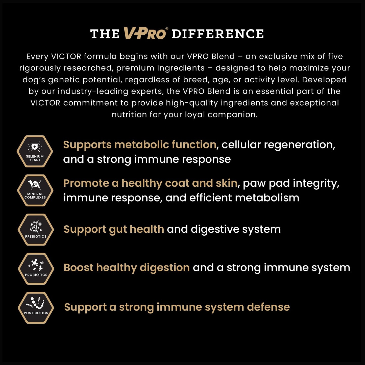 VICTOR Classic - Hi-Pro Plus Large Breed Puppy, 15-lb