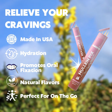 Mullein Pix, Extra Thick Boosting Flavored Toothpicks with Mullein Leaf – Natural Smoking Alternative – Lung Cleanse Support (Wintergreen Frost 3 Pack)