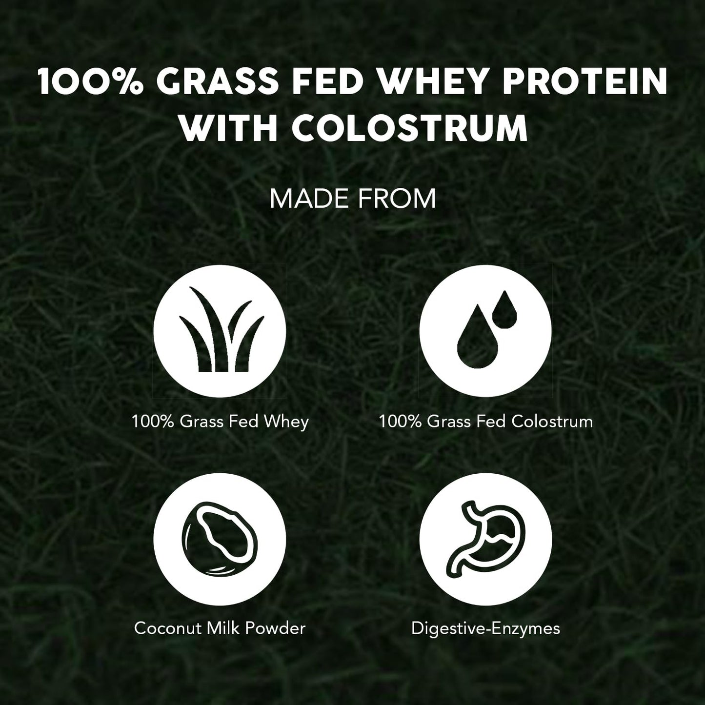 Paleovalley 100% Grass Fed Whey Protein, Vanilla