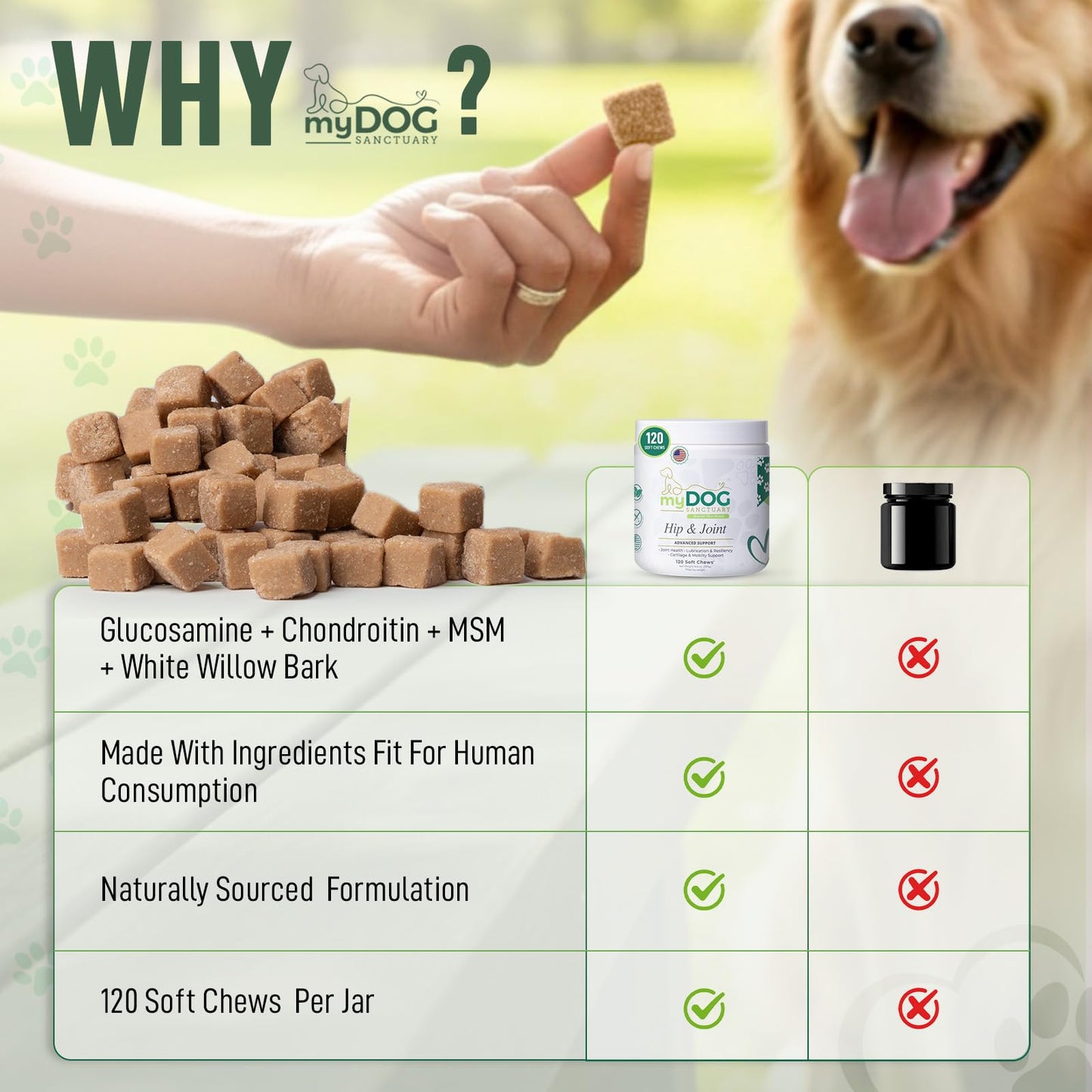 My Dog Sanctuary Hip & Joint Supplement for Dogs – 120 Soft Chews, Bacon Flavor | Glucosamine, Chondroitin & MSM for Mobility, Flexibility & Cartilage Support | for All Breeds