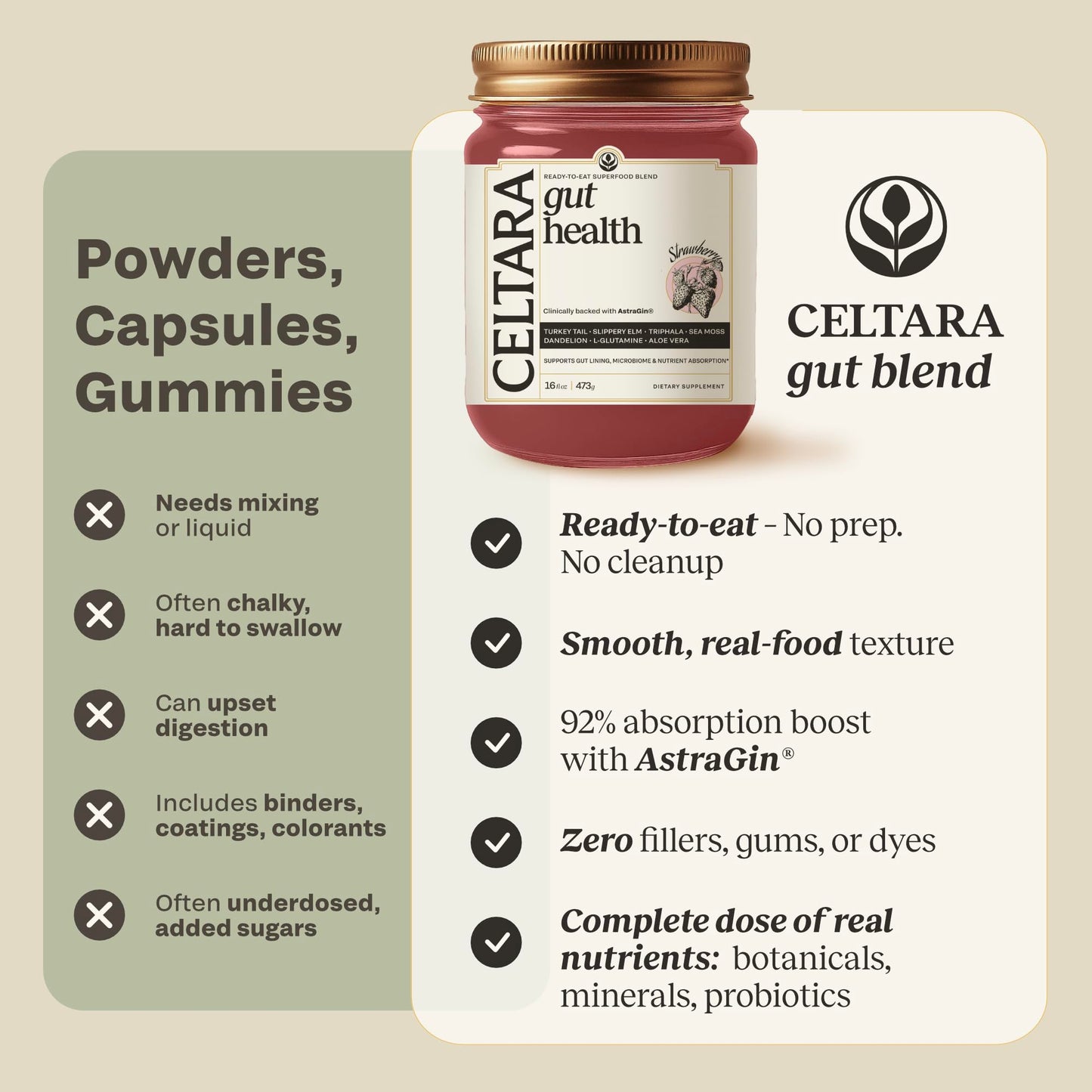 Celtara Gut Health Strawberry Wellness Blend from Astragalus & Panax Ginseng, Turkey Tail, Aloe & Slippery Elm, Sea Moss Gel, Ready-to-Eat, Made in USA, 16 fl oz (Pack of 1)