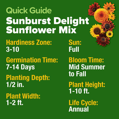 HOME GROWN Sunflower Seeds Mix Pack 1,500+ 9 Colorful Varieties of Sun Flower Seeds to Plant - 2-10ft Tall Plants, Pollinator Friendly 𝗡𝗢𝗡-𝗚𝗠𝗢 𝗨𝗦𝗔 – Easy to Grow, High Germination