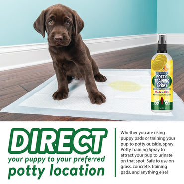 Bodhi Dog Not Here! Spray & Potty Training Spray - Puppy Training for Potty Pads - Indoor & Outdoor Potty Training for Dogs & Puppies - Safe and Effective Formula - Made in USA, New Puppy Bundle