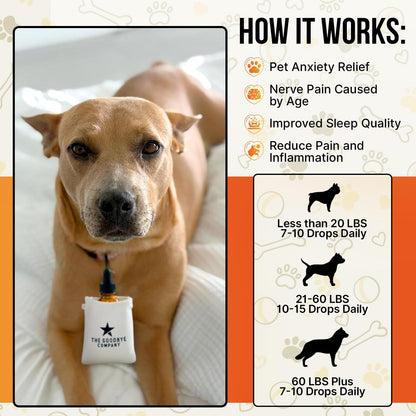 Hemp Oil for Dogs and Cats - 100% Organic Cold Pressed Oil - Made in The USA (30 mL)
