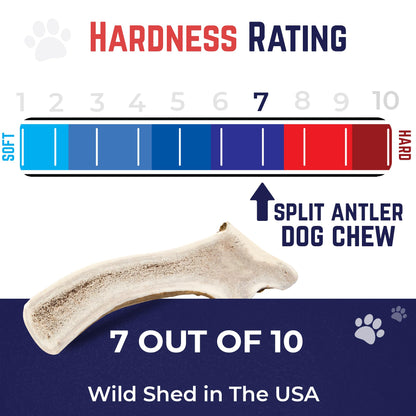 Devil Dog Pet Co. Split Elk Antlers for Dogs, Extra Large 7"+, 1 Pack, Grade A Long Lasting Chew for Aggressive Chewers, Premium USA Naturally Shed Antler – Healthy, No Odor, Durable Dog Chew